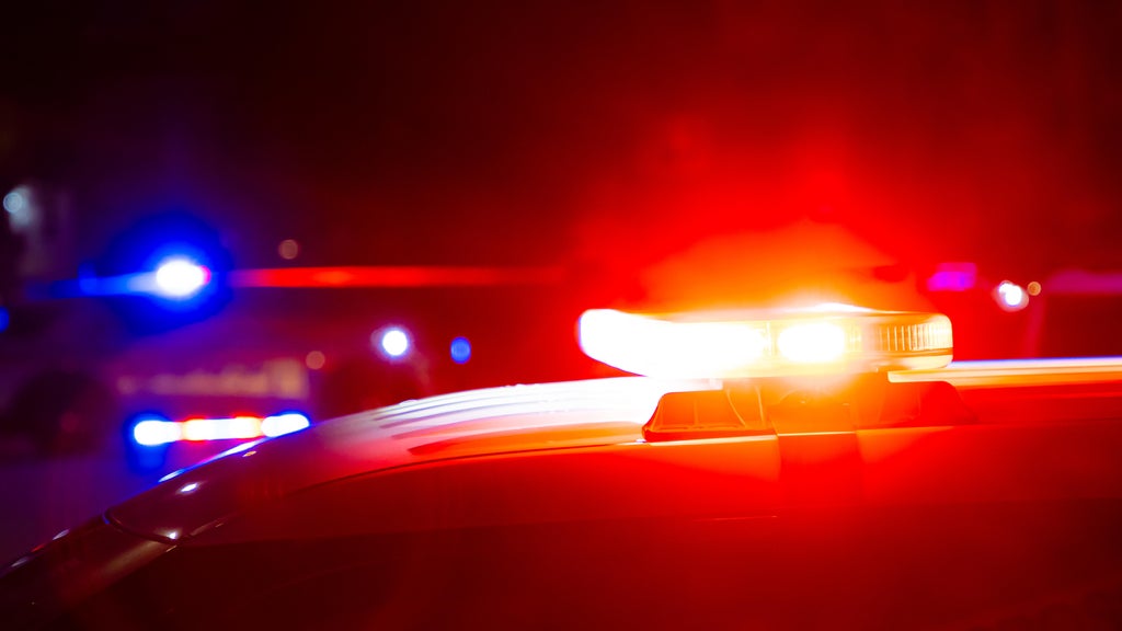 Driver killed in head-on collision with semi in central Minnesota — Savage Sports news